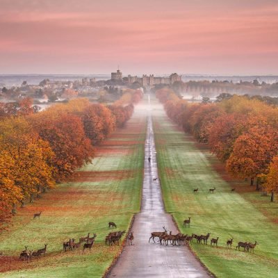 long-walk-windsor long-walk-windsor